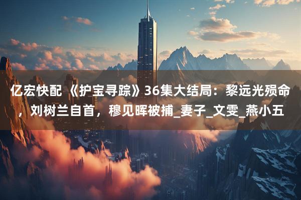 亿宏快配 《护宝寻踪》36集大结局：黎远光殒命，刘树兰自首，穆见晖被捕_妻子_文雯_燕小五