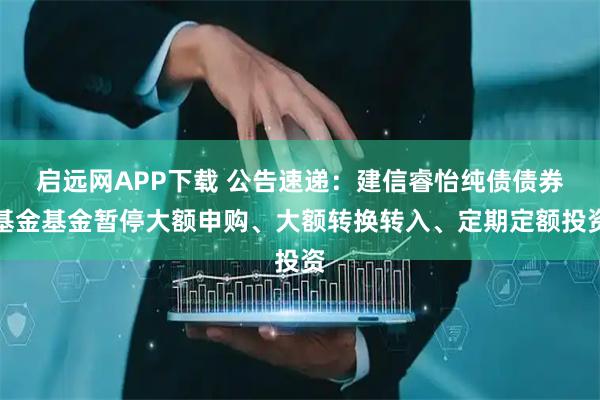启远网APP下载 公告速递：建信睿怡纯债债券基金基金暂停大额申购、大额转换转入、定期定额投资