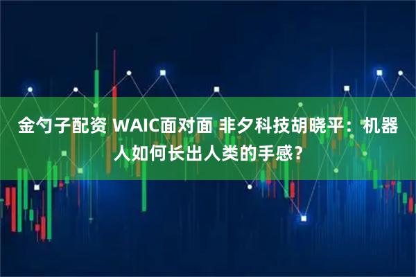 金勺子配资 WAIC面对面 非夕科技胡晓平：机器人如何长出人类的手感？
