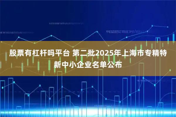 股票有杠杆吗平台 第二批2025年上海市专精特新中小企业名单公布