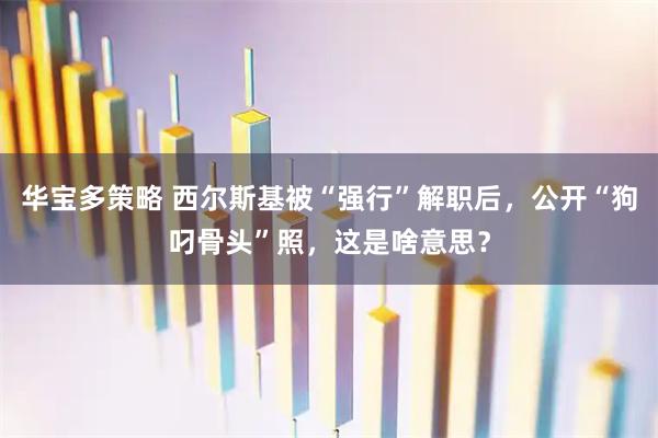 华宝多策略 西尔斯基被“强行”解职后，公开“狗叼骨头”照，这是啥意思？
